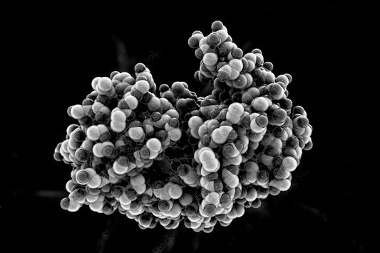 DNA Repair Enzymes